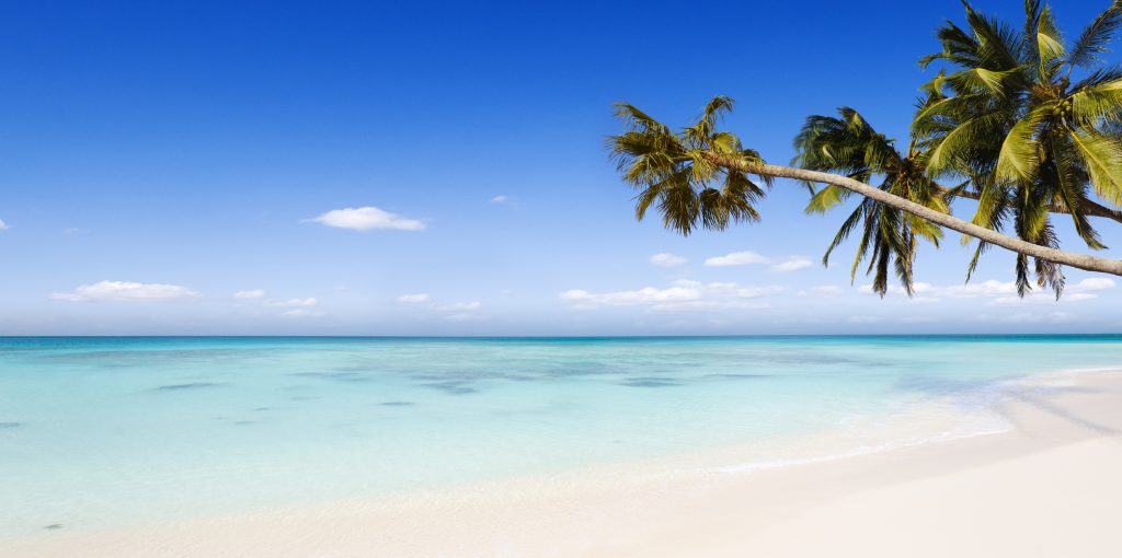 Holiday Illness Claims Holiday Sickness Holiday Illness